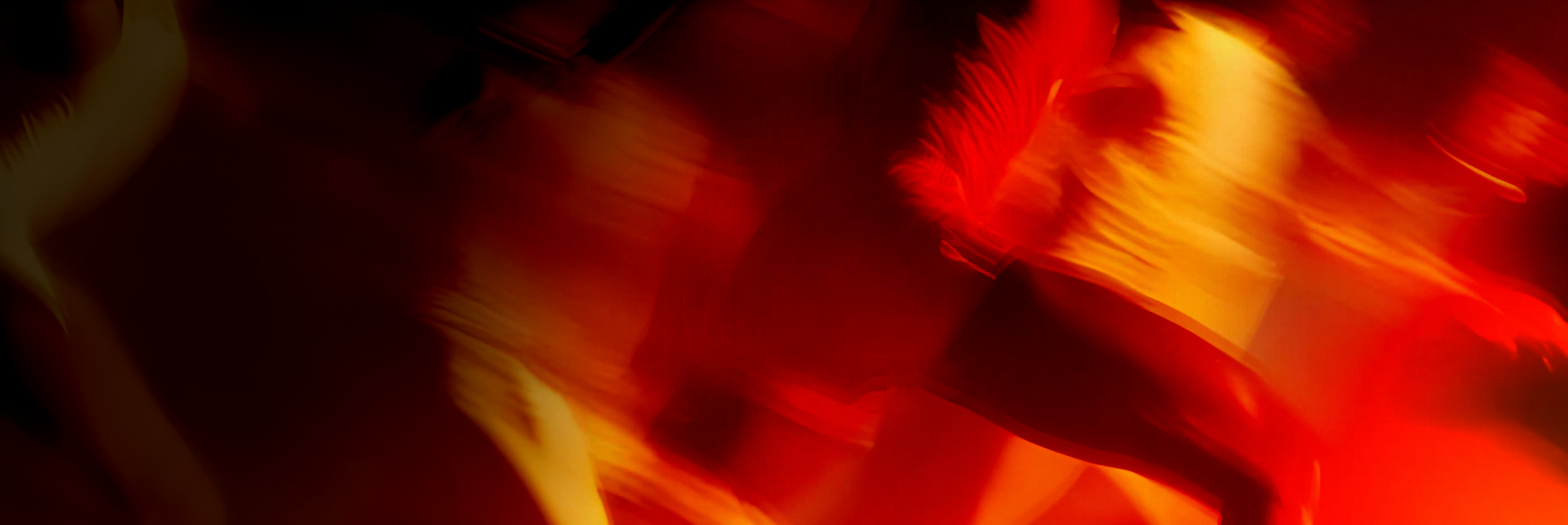 Discover our journey